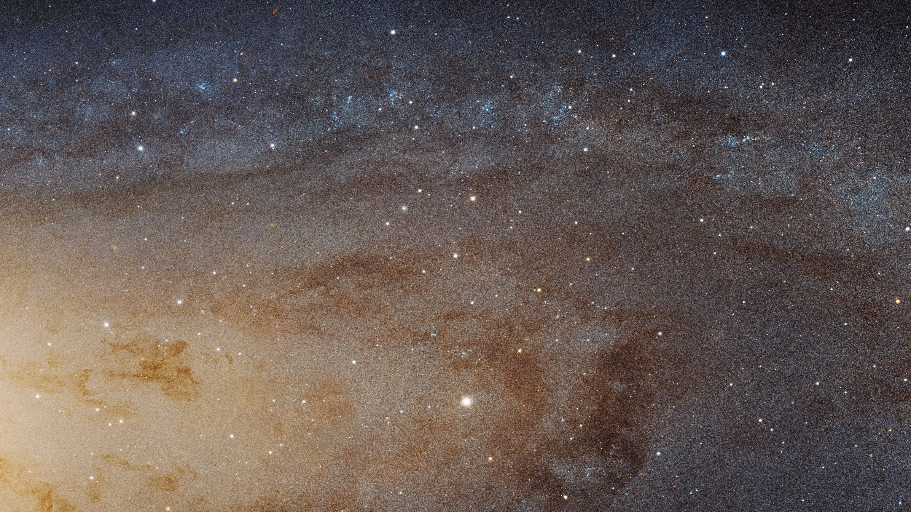 The disc of the Andromeda galaxy, photographed by Hubble